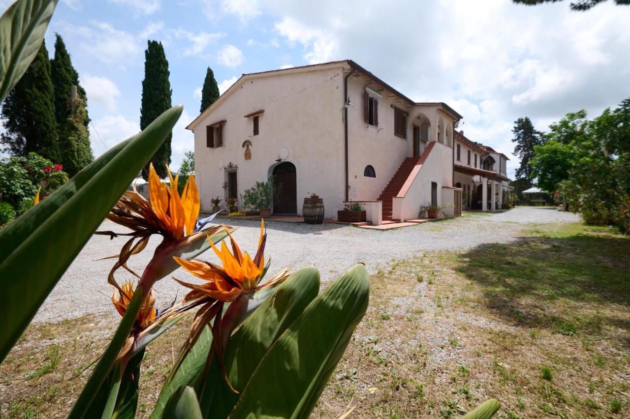 Villa Antichi Palmenti - Erica San Vincenzo Exterior foto